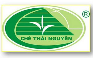 Logo Chè Thái Nguyên